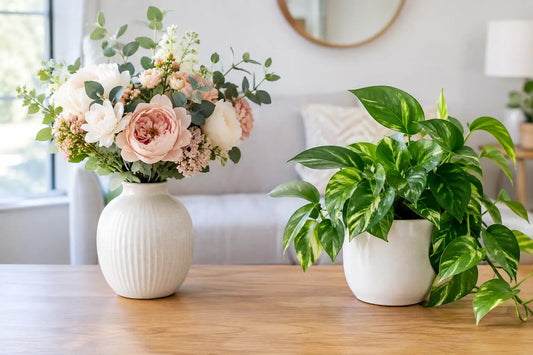 Faux Florals vs Live Plants for Your Home