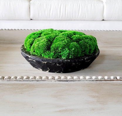 Modern Farmhouse Decor Moss Bowl Centerpiece Client Gift Dining Modern arrangement Preserved Moss Housewarming Gift  New Home Office Decor