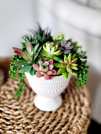 Low Maintenance Plant Alternative Artificial Succulent Arrangement Realistic Faux Collection Ceramic Bowl Planter Display Perfect Home Office Desk Styling Gift Set No Water Needed Ready To Display Design Housewarming Corporate Client