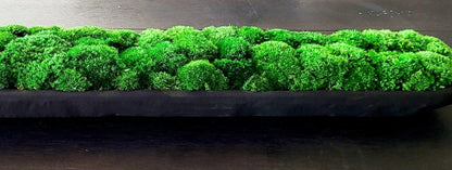 Contemporary Dough Bowl Arrangement Preserved Moss  Modern Centerpiece Client Gift Modern  Dining Table Contemporary Decor Housewarming gift