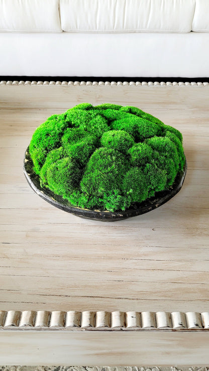 Modern Farmhouse Decor Moss Bowl Centerpiece Client Gift Dining Modern arrangement Preserved Moss Housewarming Gift  New Home Office Decor