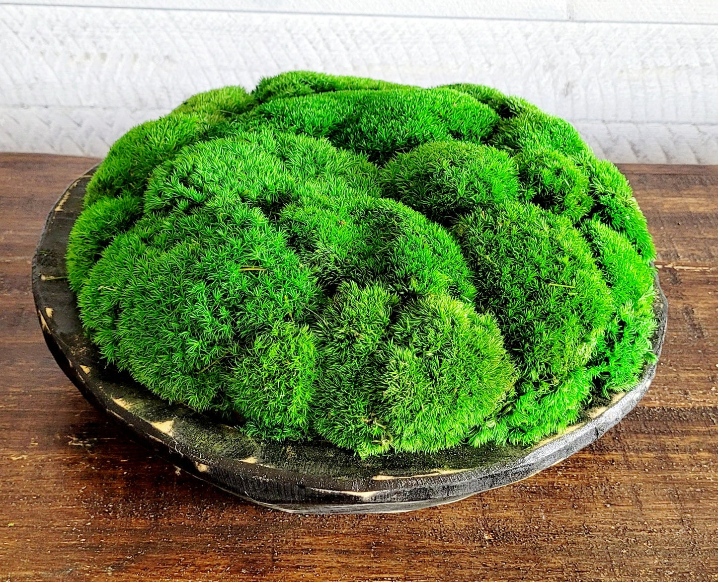 Modern Farmhouse Decor Moss Bowl Centerpiece Client Gift Dining Modern arrangement Preserved Moss Housewarming Gift  New Home Office Decor