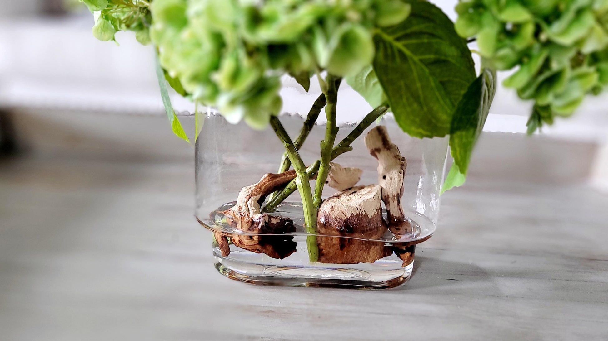 Faux Hydrangea Centerpiece Glass Vase Arrangement French Country Style Realistic Silk Flower Display Farmhouse Dining Table Accent Living Room Styling Maintenance Free Permanent Design Real Feel Texture Quality Resin Water Driftwood Natural