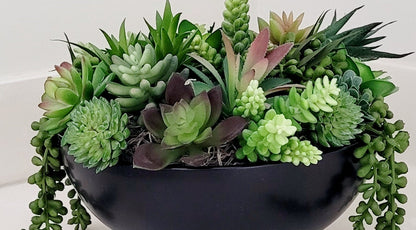 Faux Succulent Arrangement – Modern Office Gift in Black Ceramic Planter