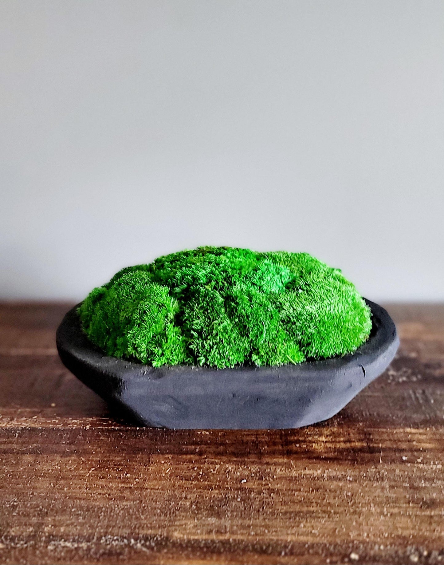 Modern Farmhouse Decor Moss Bowl Centerpiece Client Gift Dining Modern arrangement Preserved Moss Housewarming Gift  New Home Office Decor
