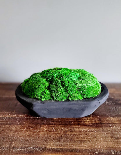 Modern Farmhouse Decor Moss Bowl Centerpiece Client Gift Dining Modern arrangement Preserved Moss Housewarming Gift  New Home Office Decor