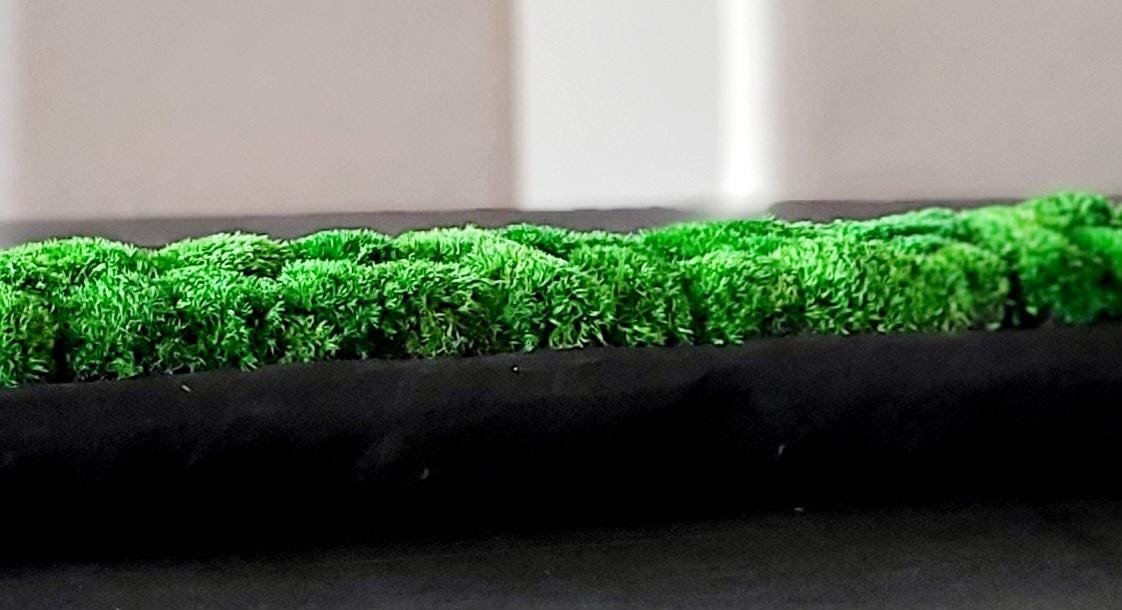 Contemporary Dough Bowl Arrangement Preserved Moss  Modern Centerpiece Client Gift Modern  Dining Table Contemporary Decor Housewarming gift