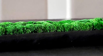 Contemporary Dough Bowl Arrangement Preserved Moss  Modern Centerpiece Client Gift Modern  Dining Table Contemporary Decor Housewarming gift