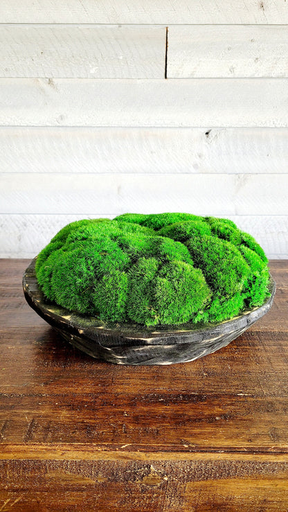 Modern Farmhouse Decor Moss Bowl Centerpiece Client Gift Dining Modern arrangement Preserved Moss Housewarming Gift  New Home Office Decor