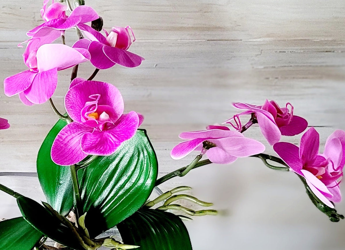 Dining Table Centerpiece Artificial Orchid Arrangement Hot Pink Silk Flowers Modern Glass Vase Design Luxury Home Styling Maintenance Free Permanent Display Realistic Faux Water Driftwood Details Elegant French Country Touch Contemporary