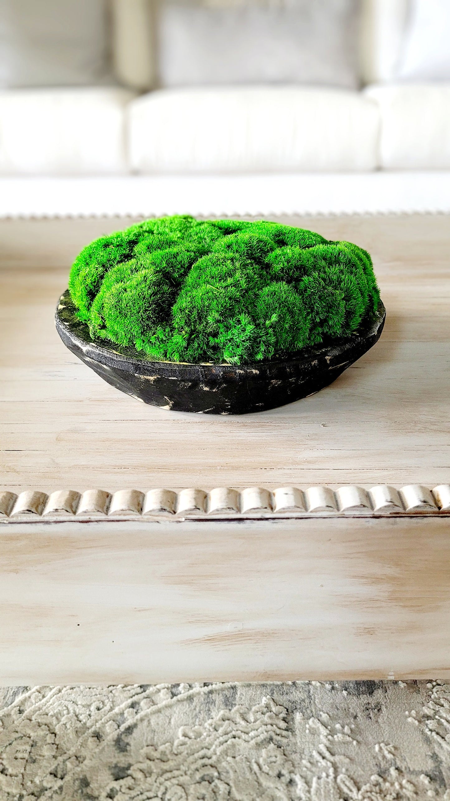 Modern Farmhouse Decor Moss Bowl Centerpiece Client Gift Dining Modern arrangement Preserved Moss Housewarming Gift  New Home Office Decor