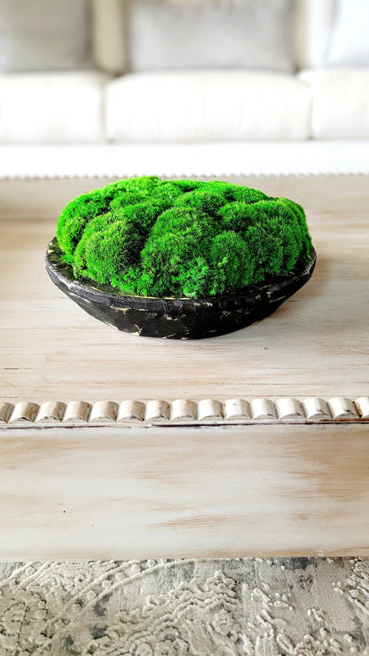 Modern Farmhouse Decor Moss Bowl Centerpiece Client Gift Dining Modern arrangement Preserved Moss Housewarming Gift  New Home Office Decor