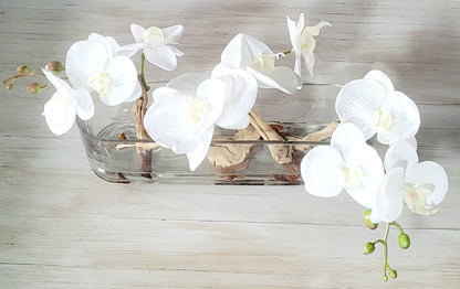 Modern Orchid with Drift Wood Centerpiece in Long Glass Vase