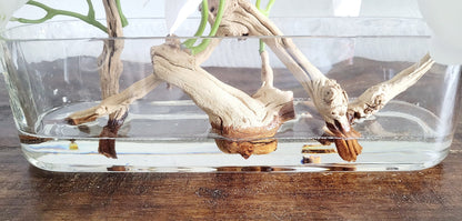 Modern Orchid with Drift Wood Centerpiece in Long Glass Vase