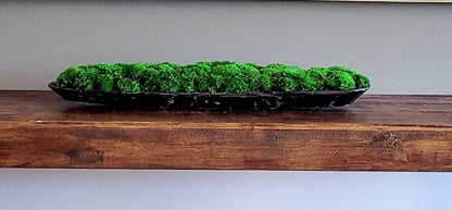 Preserved Moss Contemporary Dough Bowl Arrangement