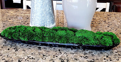 Preserved Moss Contemporary Dough Bowl Arrangement